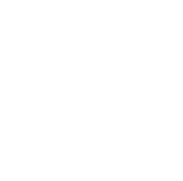 icon of view